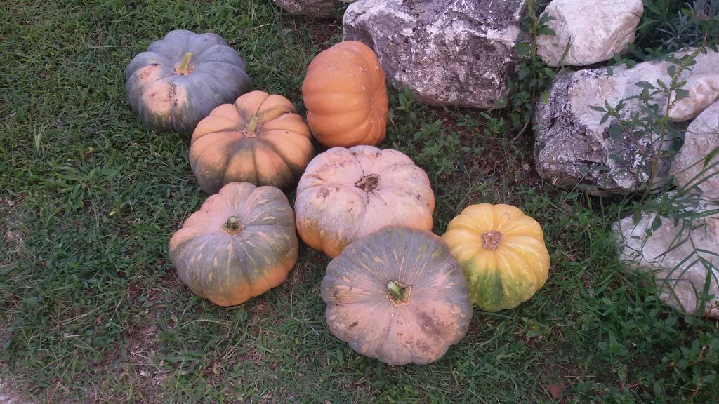 Agriturismo Di Charme Erbadoro Alvito Ngoại thất bức ảnh