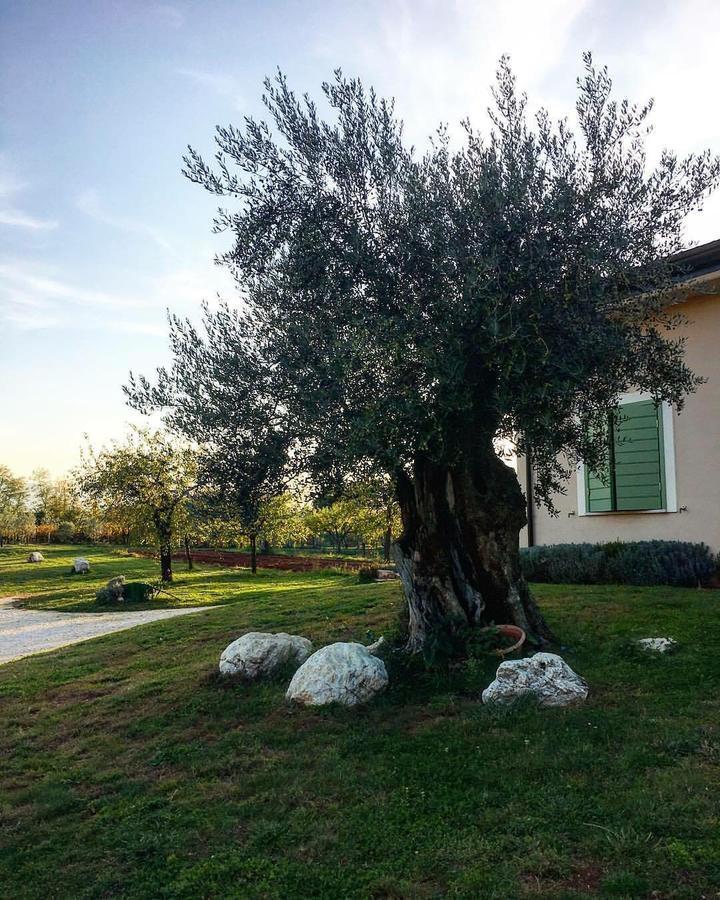 Agriturismo Di Charme Erbadoro Alvito Ngoại thất bức ảnh
